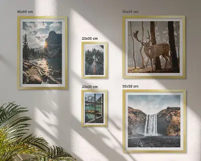 Conjunto de 5 quadros com moldura com temas de paisagens naturais, cachoeiras e fauna