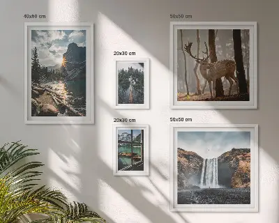 Conjunto de 5 quadros com moldura com temas de paisagens naturais, cachoeiras e fauna