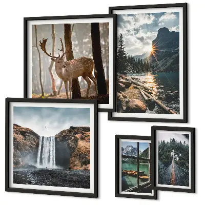 Conjunto de 5 quadros com moldura com temas de paisagens naturais, cachoeiras e fauna
