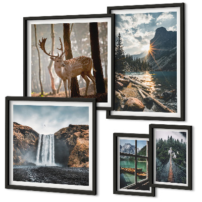 Conjunto de 5 quadros com moldura Paisagens, natureza, cachoeiras, fauna