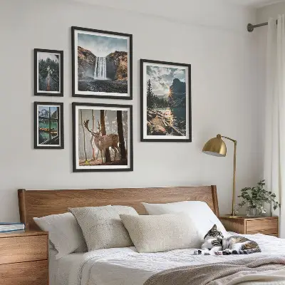 Conjunto de 5 quadros com moldura com temas de paisagens naturais, cachoeiras e fauna