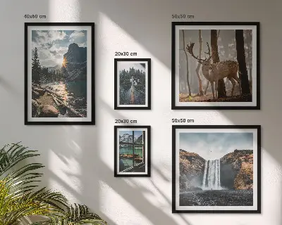 Conjunto de 5 quadros com moldura com temas de paisagens naturais, cachoeiras e fauna