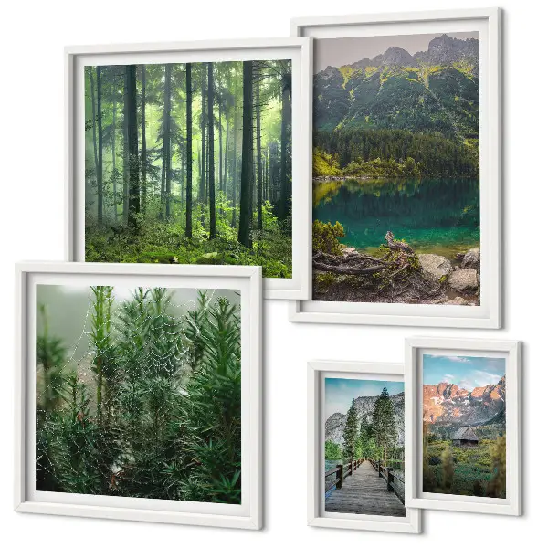 Conjunto de 5 quadros decorativos com paisagens de montanhas e florestas