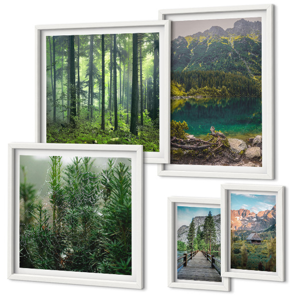 Conjunto de 5 quadros decorativos Paisagens montanhosas e florestas