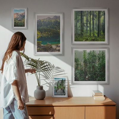 Conjunto de 5 quadros decorativos Paisagens montanhosas e florestas