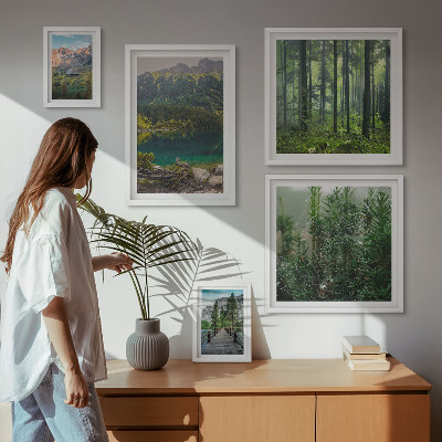 Conjunto de 5 quadros decorativos Paisagens montanhosas e florestas