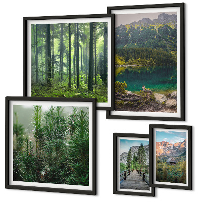 Conjunto de 5 quadros decorativos Paisagens montanhosas e florestas