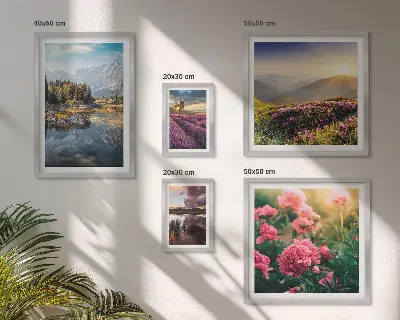 Galeria de quadros para parede com temas de paisagens naturais, flores e montanhas