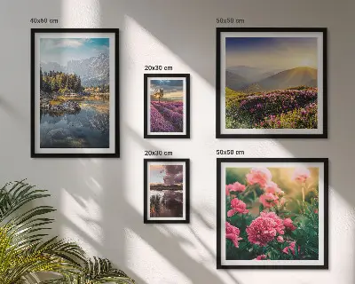 Galeria de quadros para parede com temas de paisagens naturais, flores e montanhas