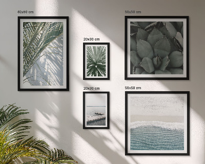 Parede galeria de quadros Plantas tropicais com o mar