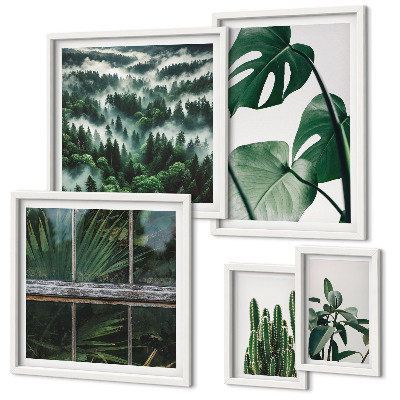 Conjunto de 5 quadros com moldura Inspirações botânicas dos trópicos