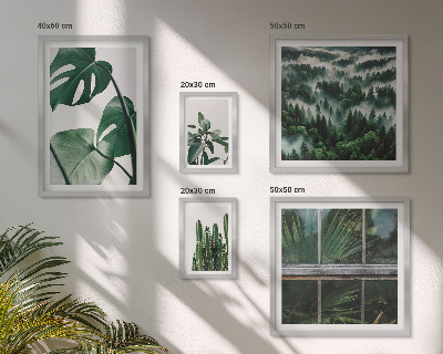 Conjunto de 5 quadros com moldura Inspirações botânicas dos trópicos