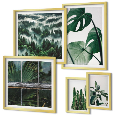 Conjunto de 5 quadros com moldura Inspirações botânicas dos trópicos