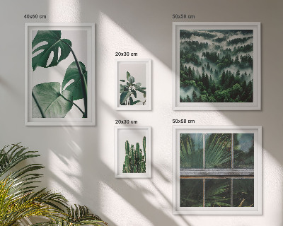 Conjunto de 5 quadros com moldura Inspirações botânicas dos trópicos