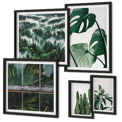 Conjunto de 5 quadros com moldura Inspirações botânicas dos trópicos
