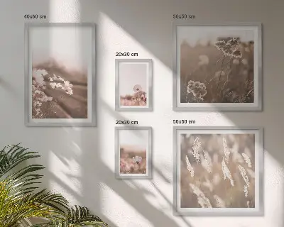 Conjunto de 5 quadros decorativos com motivos florais de natureza delicada