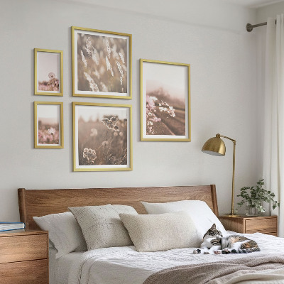 Conjunto de 5 quadros decorativos Motivos florais de natureza delicada