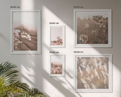 Conjunto de 5 quadros decorativos Motivos florais de natureza delicada