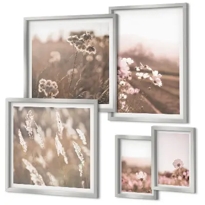 Conjunto de 5 quadros decorativos com motivos florais de natureza delicada