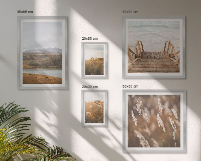 Conjunto de 5 quadros decorativos Paisagens naturais do campo lacustre