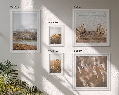 Conjunto de 5 quadros decorativos Paisagens naturais do campo lacustre