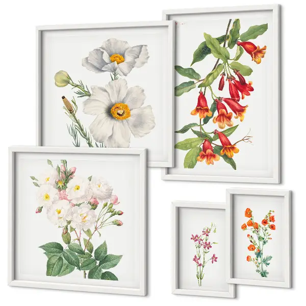 Galeria de quadros para parede com ilustrações botânicas florais