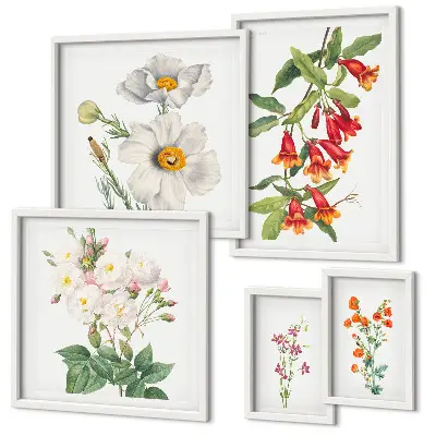 Galeria de quadros para parede com ilustrações botânicas florais