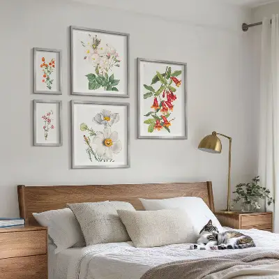 Galeria de quadros para parede com ilustrações botânicas florais