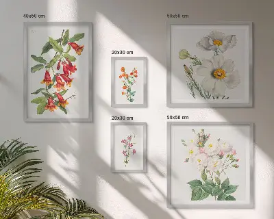 Galeria de quadros para parede com ilustrações botânicas florais