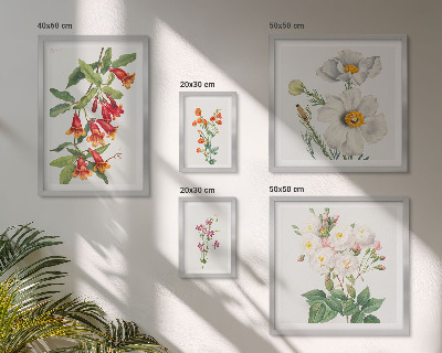 Parede galeria de quadros Ilustrações Botânicas Florais