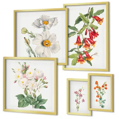 Galeria de quadros para parede com ilustrações botânicas florais