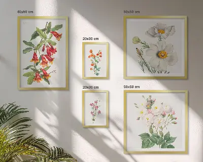 Galeria de quadros para parede com ilustrações botânicas florais