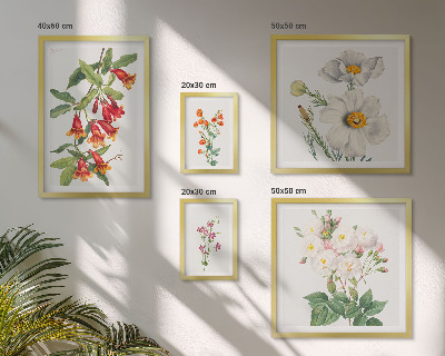 Parede galeria de quadros Ilustrações Botânicas Florais