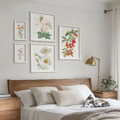 Galeria de quadros para parede com ilustrações botânicas florais