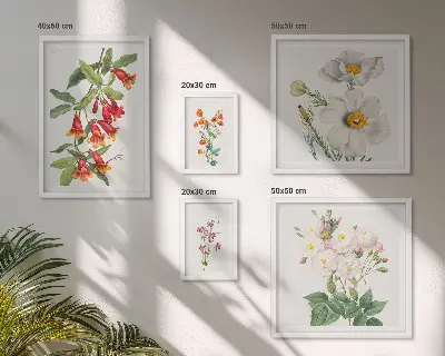 Galeria de quadros para parede com ilustrações botânicas florais