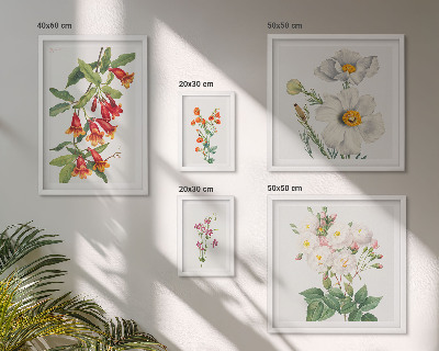 Parede galeria de quadros Ilustrações Botânicas Florais