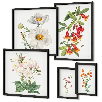 Galeria de quadros para parede com ilustrações botânicas florais