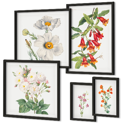 Parede galeria de quadros Ilustrações Botânicas Florais