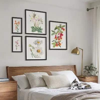 Galeria de quadros para parede com ilustrações botânicas florais