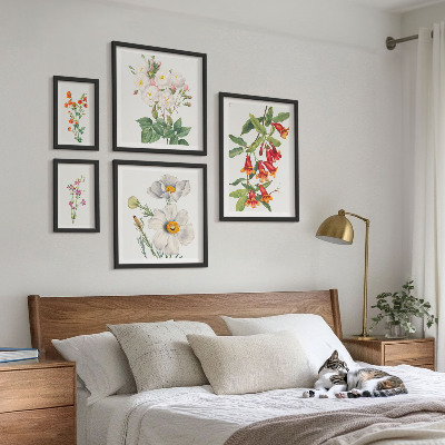 Parede galeria de quadros Ilustrações Botânicas Florais