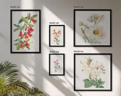 Galeria de quadros para parede com ilustrações botânicas florais