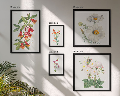 Parede galeria de quadros Ilustrações Botânicas Florais
