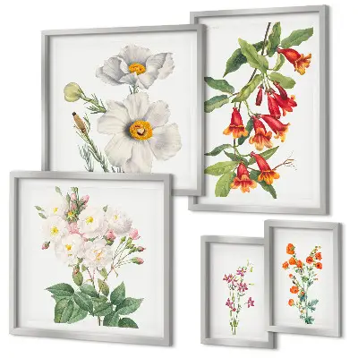 Galeria de quadros para parede com ilustrações botânicas florais