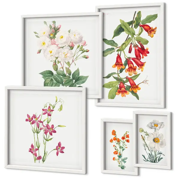 Conjunto de 5 quadros com moldura com motivos botânicos florais