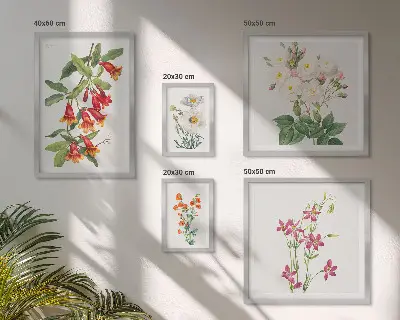 Conjunto de 5 quadros com moldura com motivos botânicos florais