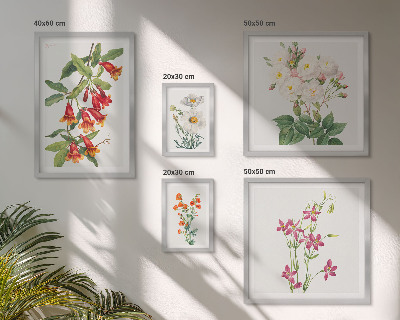 Conjunto de 5 quadros com moldura motivos botânicos florais
