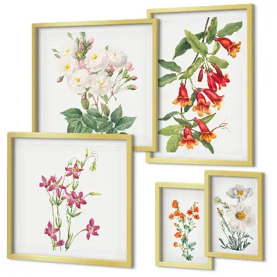 Conjunto de 5 quadros com moldura com motivos botânicos florais