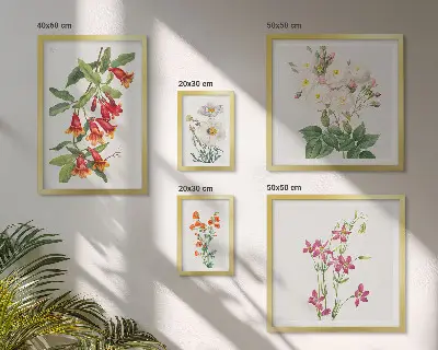 Conjunto de 5 quadros com moldura com motivos botânicos florais