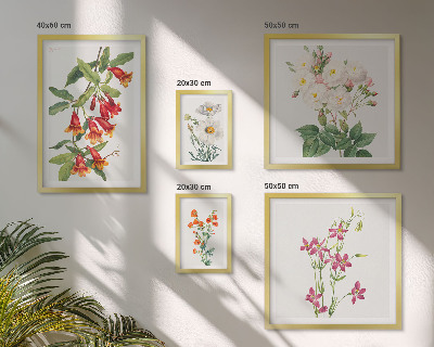 Conjunto de 5 quadros com moldura motivos botânicos florais