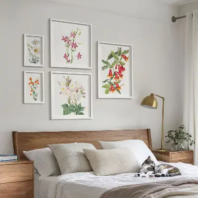 Conjunto de 5 quadros com moldura com motivos botânicos florais